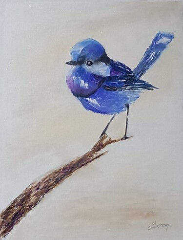 281 Fairy-wren