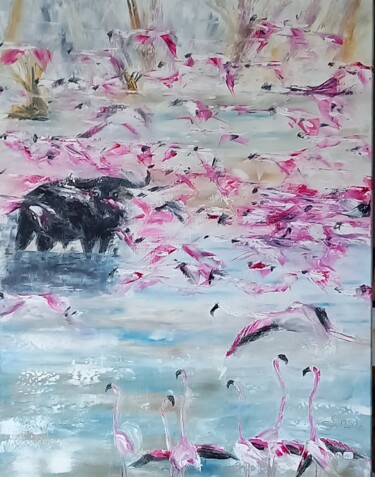 296 Flamants roses